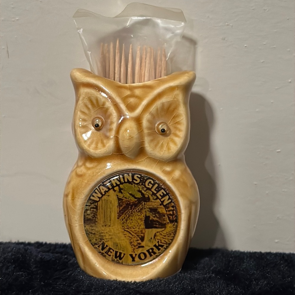 Vintage Watkins Glen, NY Cavern Cascade Pathway Souvenir Owl Toothpick Holder